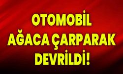 Otomobil ağaca çarparak devrildi!