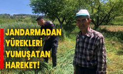 Çiftçinin yorgunluğunu gördü: Jandarmadan yürekleri yumuşatan hareket!