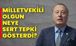 Milletvekili Olgun neye sert tepki gösterdi?