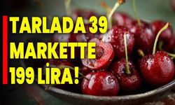 Tarlada 39, markette 199 lira