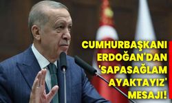 CUMHURBAŞKANI ERDOĞAN'DAN 'SAPASAĞLAM AYAKTAYIZ' MESAJI