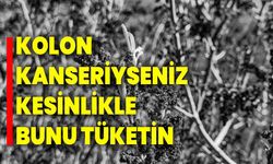 Kolon Kanseriyseniz Kesinlikle Bunu Tüketin