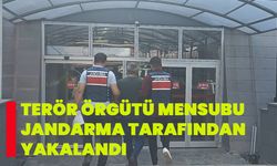 Terör örgütü mensubu jandarma tarafından yakalandı