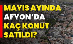 Mayıs ayında Afyon’da kaç konut satıldı?