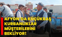 Afyon’da küçükbaş kurbanlıklar müşterilerini bekliyor!