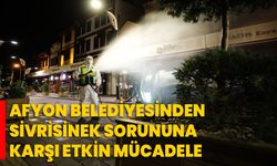 Afyon Belediyesinden Sivrisinek Sorununa Karşı Etkin Mücadele