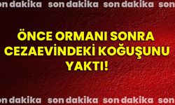 Önce ormanı sonra cezaevindeki koğuşunu yaktı!