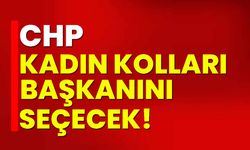 CHP kadın kolları başkanını seçecek!