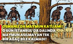 Osmanlı'da maymun katliamı! O gün İstanbul’da dalında maymun asılmayan tek bir ağaç bile kalmadı!
