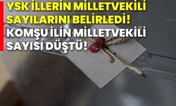 YSK illerin milletvekili sayılarını belirledi! Komşu ilin milletvekili sayısı düştü!