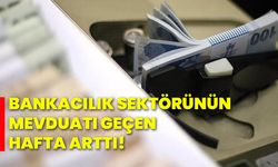 Bankacılık sektörünün mevduatı geçen hafta arttı!