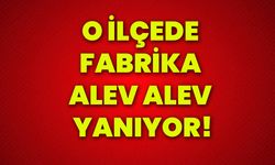 O ilçede fabrika alev alev yanıyor!