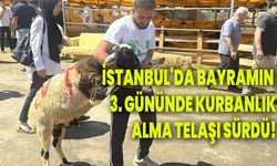 İstanbul’da bayramın 3. gününde kurbanlık alma telaşı sürdü!