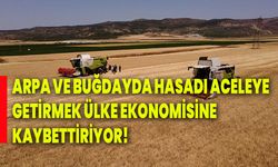 Arpa ve buğdayda hasadı aceleye getirmek ülke ekonomisine kaybettiriyor!