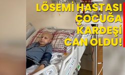 Lösemi hastası çocuğa kardeşi can oldu!