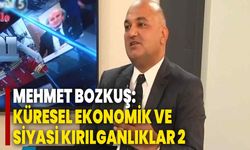 Mehmet Bozkuş: Küresel Ekonomik Ve Siyasi Kırılganlıklar 2