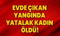 Evde çıkan yangında yatalak kadın öldü!