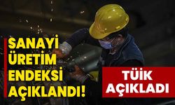 TÜİK açıkladı: Sanayi üretim endeksi açıklandı!