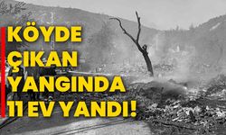 Köyde çıkan yangında 11 ev yandı!