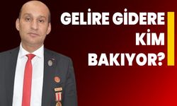 Gelire gidere kim bakıyor?