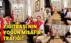 Yiğitbaşı'nın yoğun misafir trafiği!