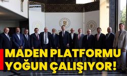 Maden Platformu yoğun çalışıyor!