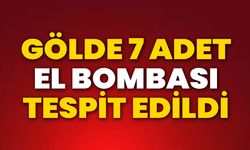 Gölde 7 Adet El Bombası Tespit Edildi