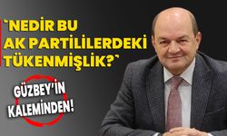 “Nedir bu AK Partililerdeki tükenmişlik?”