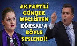 AK Partili Gökçek Meclisten Köksal’a böyle seslendi!