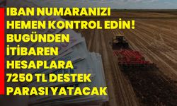 IBAN numaranızı hemen kontrol edin! Bugünden itibaren hesaplara 7250 TL destek parası yatacak