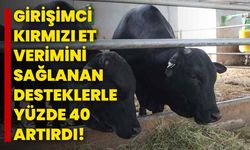 Girişimci, kırmızı et verimini sağlanan desteklerle yüzde 40 artırdı!