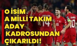 O isim A Milli Takım aday kadrosundan çıkarıldı!