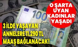 3 ilde yaşayan annelere 11.290 TL maaş bağlanacak! O şarta uyan kadınlar yaşadı