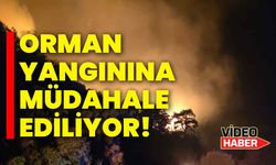 Orman yangınına müdahale ediliyor!