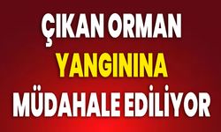 ÇIKAN ORMAN YANGININA MÜDAHALE EDİLİYOR