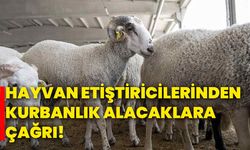 Hayvan yetiştiricilerinden kurbanlık alacaklara çağrı!