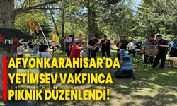 Afyonkarahisar'da YetimSev Vakfınca piknik düzenlendi!