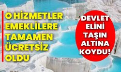 Devlet elini taşın altına koydu! O hizmetler emeklilere tamamen ücretsiz oldu