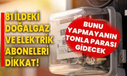 81 ildeki doğalgaz ve elektrik aboneleri dikkat! Bunu yapmayanın tonla parası gidecek