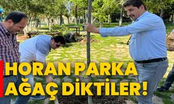 Horan Parka ağaç diktiler!