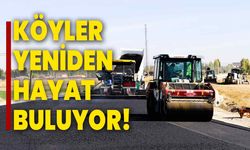 Köyler yeniden hayat buluyor!