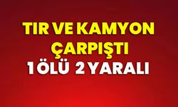 Tır ve kamyon çarpıştı: 1 ölü, 2 yaralı