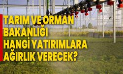 Tarım ve Orman Bakanlığı hangi yatırımlara ağırlık verecek?