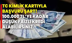 TC kimlik kartıyla başvuru şart! 100.000 TL’ye kadar düşük faizli kredi alabilirsiniz