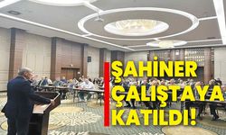 Şahiner çalıştaya katıldı!