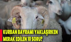 Kurban Bayramı yaklaşırken merak edilen 10 soru?