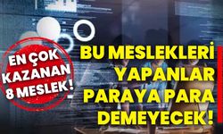 Bu meslekleri yapanlar paraya para demeyecek! En çok kazanan 8 meslek!