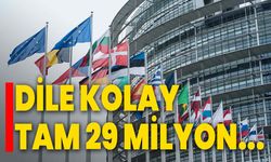 Dile Kolay Tam 29 Milyon...