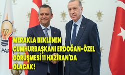 Merakla beklenen Cumhurbaşkanı Erdoğan-Özel görüşmesi 11 Haziran'da olacak!