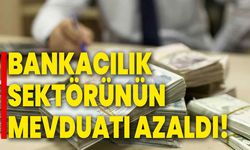 Bankacılık sektörünün mevduatı azaldı!